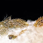 世界の調和を願う龍の詩